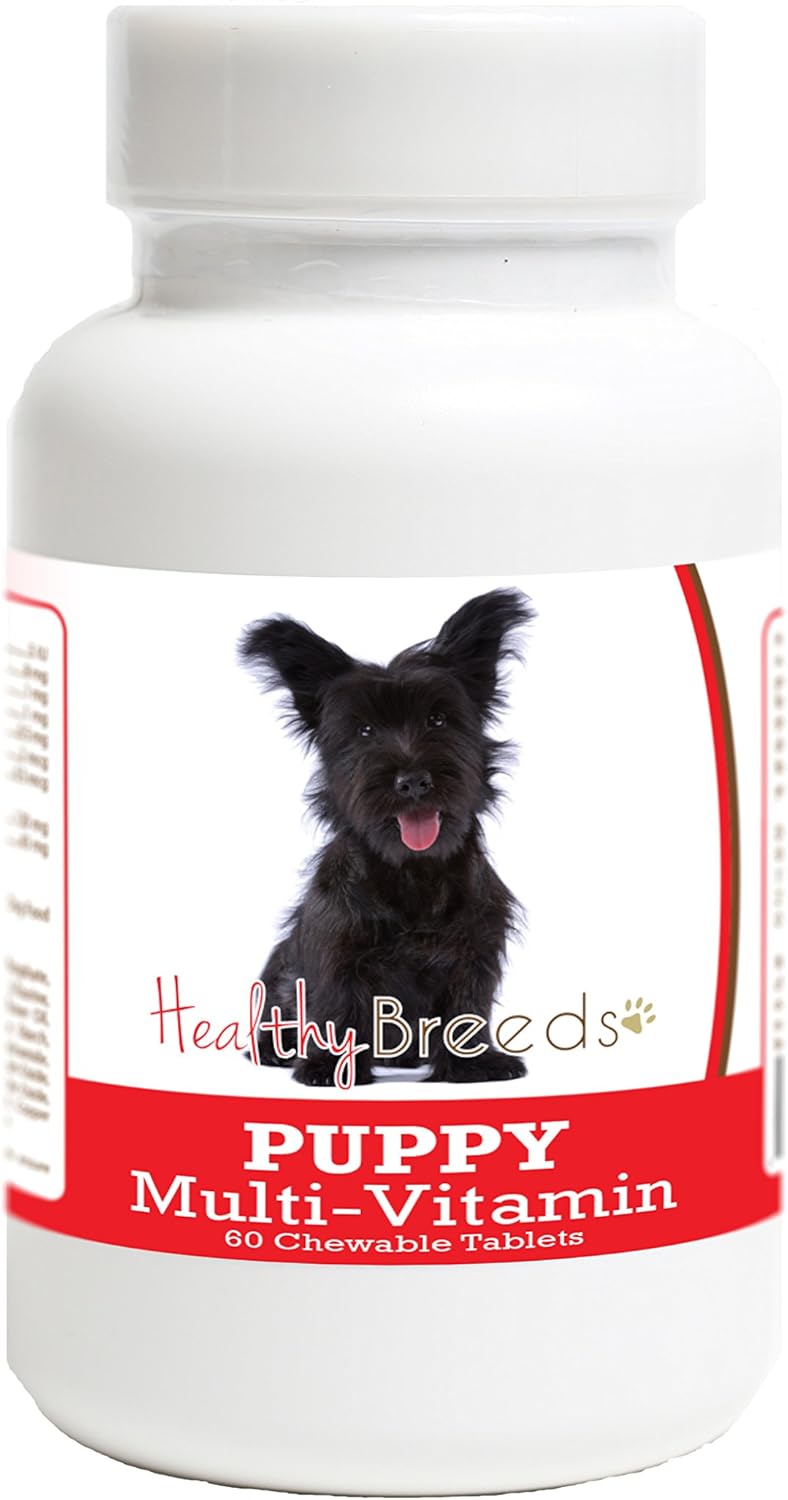 Healthy Breeds Skye Terrier Puppy Dog – Vitamina A (acetato de retinilo): contribuye al mantenimiento de la visión – Image 1