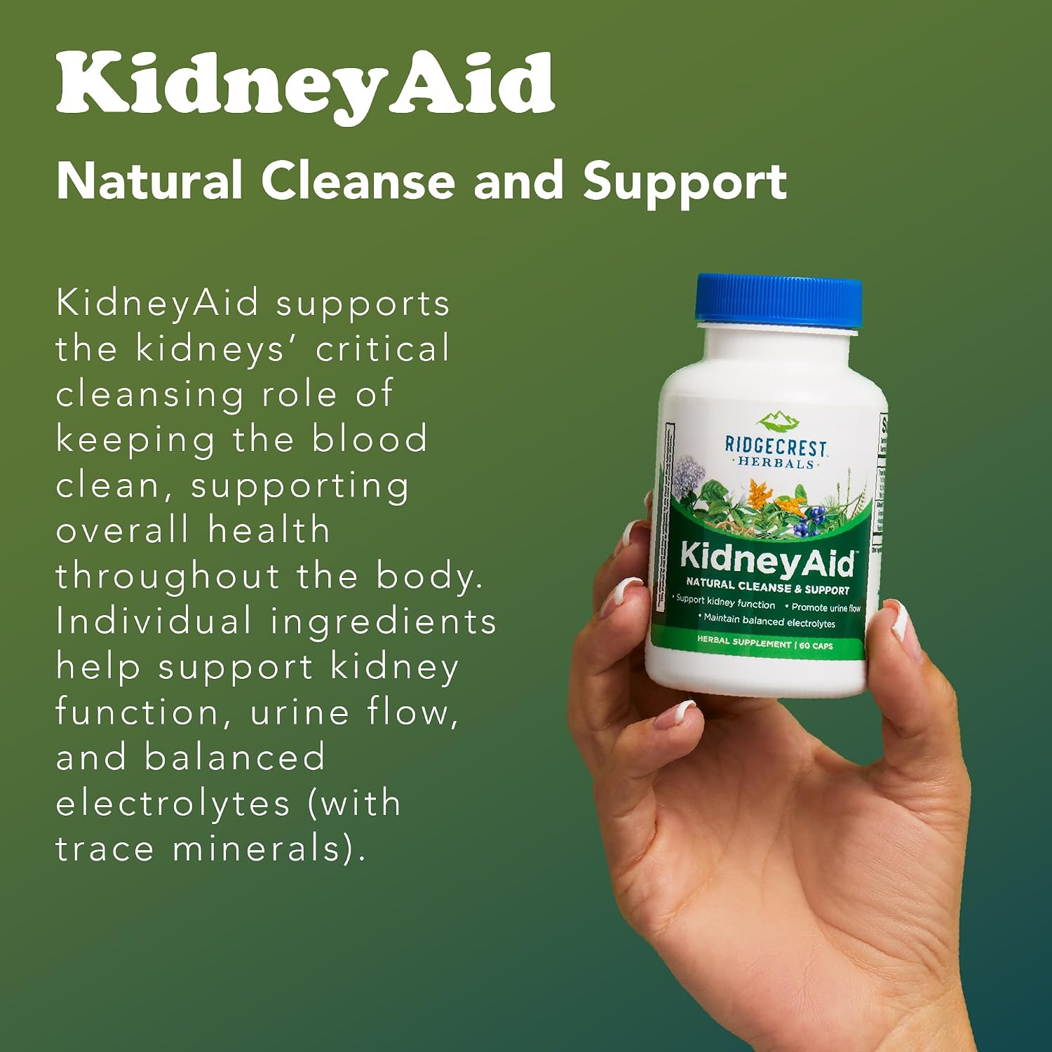 Ridgecrest Herbals KidneyAid - Suplemento de apoyo renal (60 cápsulas)