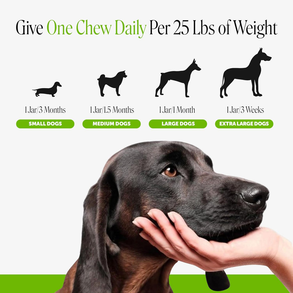 Probióticos para Perros con Prebióticos y Enzimas Digestivas - 6 Mil Millones de UFC - Sabor Pato - 90 Comprimidos Masticables - Pet Honesty