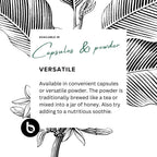 Funtumia Elastica Powder – Apoyo Respiratorio – Cápsulas Veganas