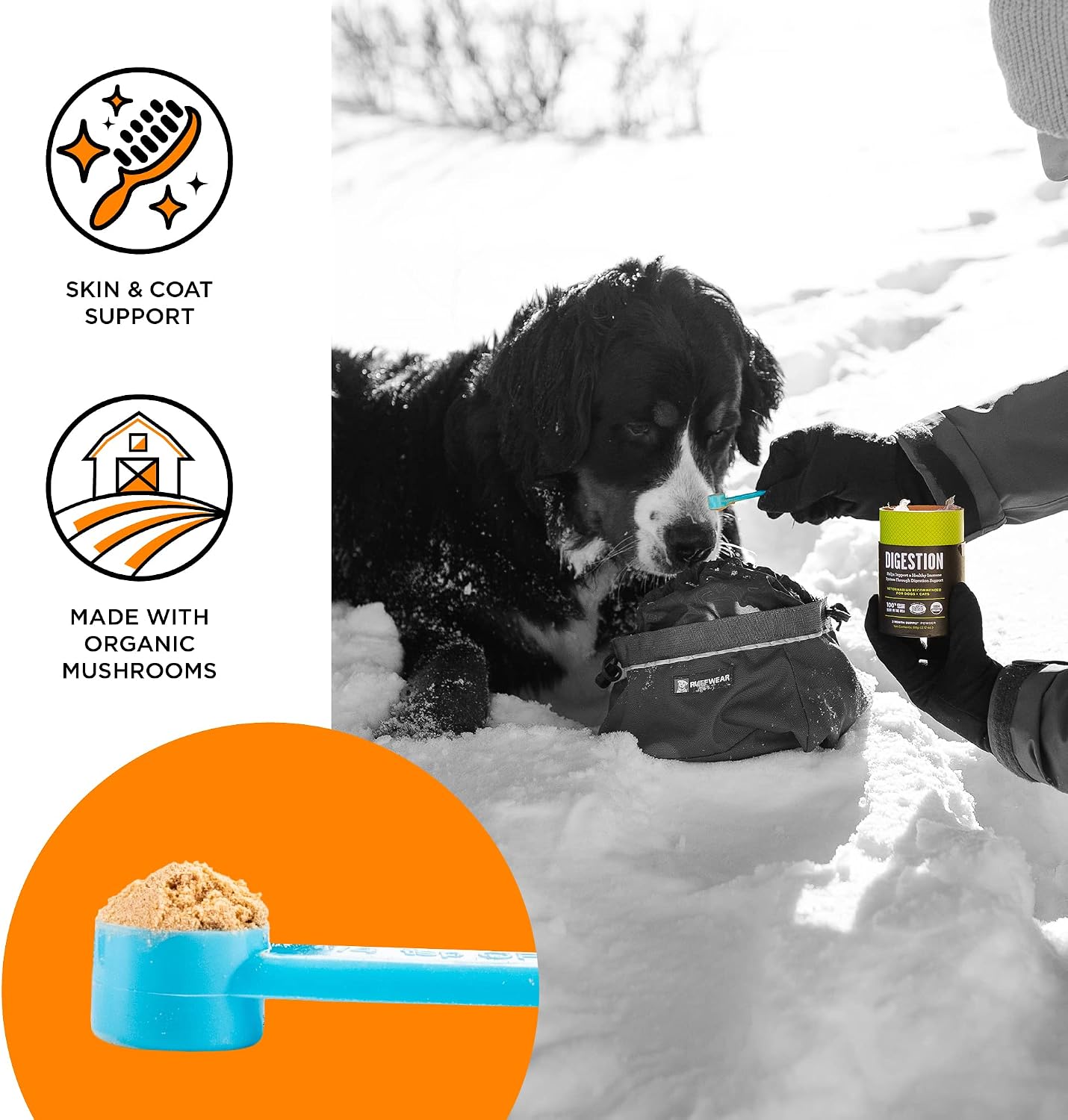 BIXBI Skin & Coat Support – Suplemento Orgánico de Setas para Perros y Gatos