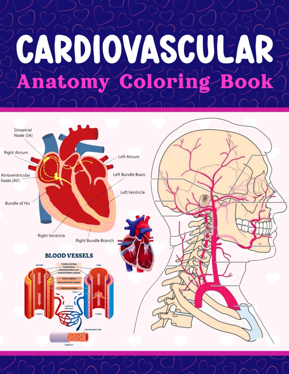 Libro de Colorear de Anatomía Cardiovascular: Aprende los Detalles del Sistema Cardiovascular Fácilmente