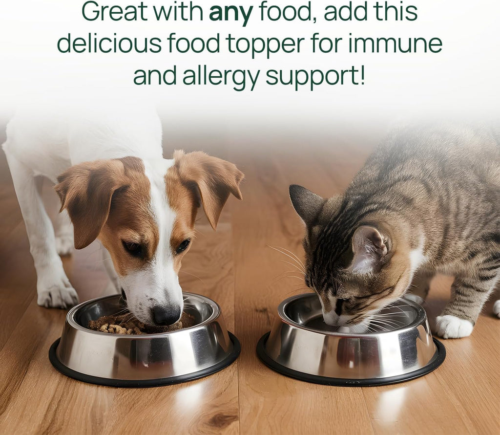 pawTree Aceite de Salmón para Perros y Gatos - Suplemento de Omega 3 y 6