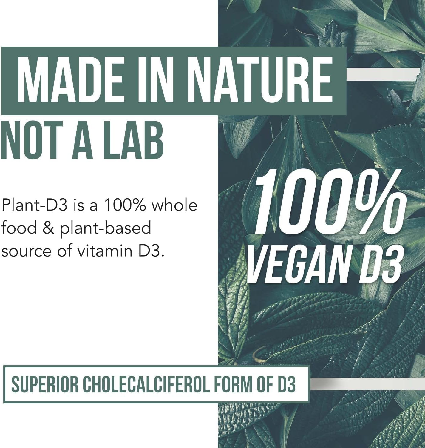 Vitamina D3 Orgánica 5000 UI - Vegana, de Origen Vegetal con Prebióticos - 60 Cápsulas