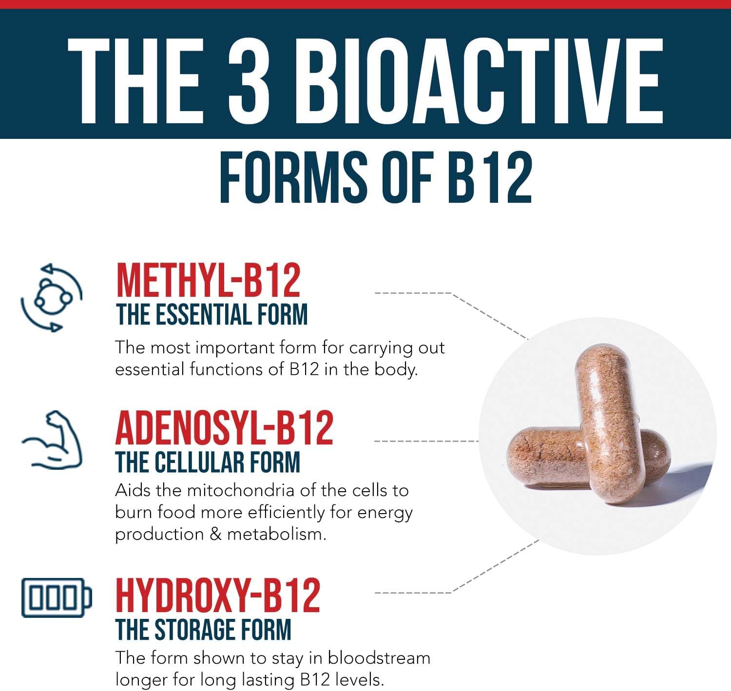 BioActive Vitamin B12 - 1000 mcg con Metilfolato, 3 Formas Coenzimáticas - Vegano, Sin OGM