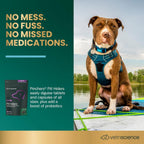 VetriScience Extra Large Pinchers Pill Hiders Masticables con Probióticos para Perros, Sabor Pollo, 45 uds.