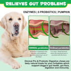 Probióticos para Perros con Omega-3 y 6 - Masticables Digestivos - 120 unidades