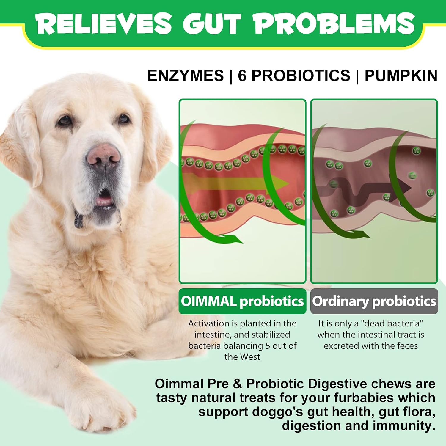 Probióticos para Perros con Omega-3 y 6 - Masticables Digestivos - 120 unidades