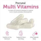 Zahler Total One - Vitaminas Prenatales (60 Cápsulas) - Multivitamínico diario con ácido fólico, hierro, zinc y 19 vitaminas y minerales esenciales - Suplemento prenatal kosher