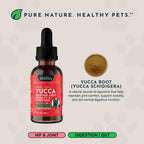 Yucca - Suplemento de Raíz de Yucca Orgánica para Articulaciones y Digestión en Perros y Gatos, Gotas Herbales Líquidas - 30 ml