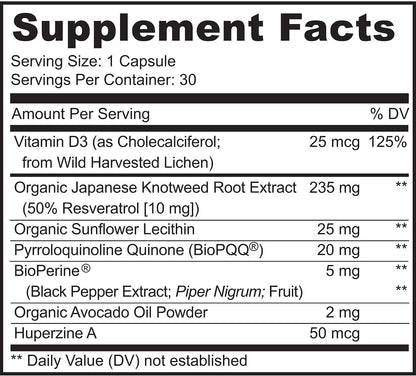 PQQ Mitorestore - Suplemento Cognitivo con BioPQQ 20mg | Memoria y Enfoque – Image 2