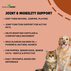 Aceite de Salmón Salvaje de Alaska Puro para Perros y Gatos — Omega 3 Líquido