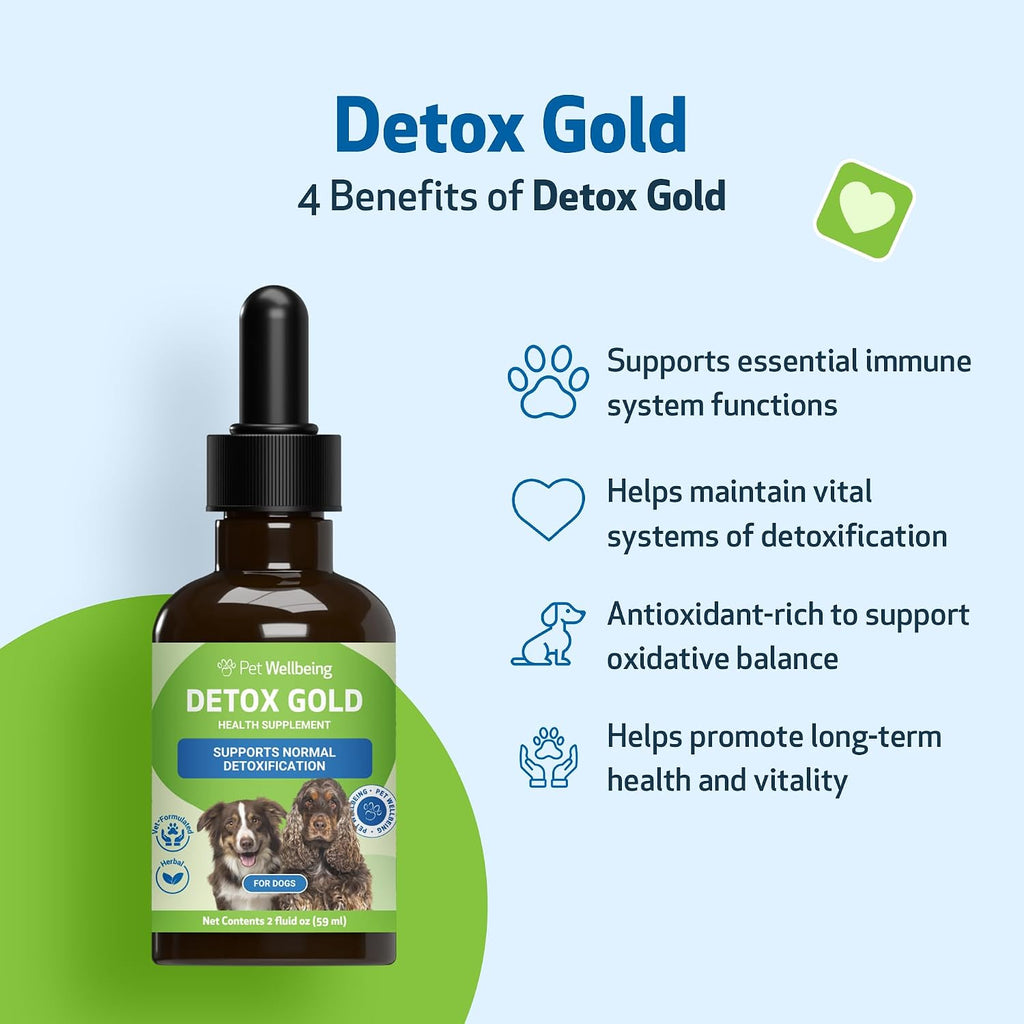 Pet Wellbeing Detox Gold for Dogs - Gentle Detox Herbal Supplement with Nettle, Blessed Thistle, and Burdock - 59 ml