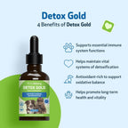 Pet Wellbeing Detox Gold for Dogs - Gentle Detox Herbal Supplement with Nettle, Blessed Thistle, and Burdock - 59 ml