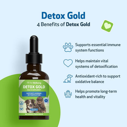 Pet Wellbeing Detox Gold para Perros - – Ortiga (Urtica dioica): Rica en vitaminas y minerales, apoya la función – Image 4