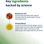 Metagenics CandiBactin‑BR – Berberina Concentrada para el Soporte Intestinal – 90 Comprimidos