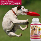 Amazing Cranberry Suplemento de Arándano para Perros - Apoyo Urinario y de Vejiga - 120 Masticables con Vinagre de Manzana para la Salud Inmunitaria - Sabor Bacon