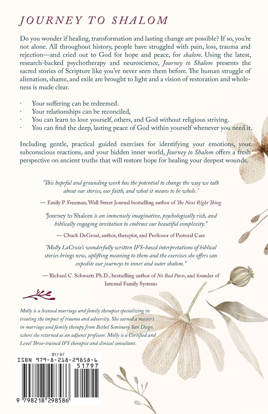 Journey to Shalom: Finding Healing, Wholeness, and Freedom In Sacred Stories