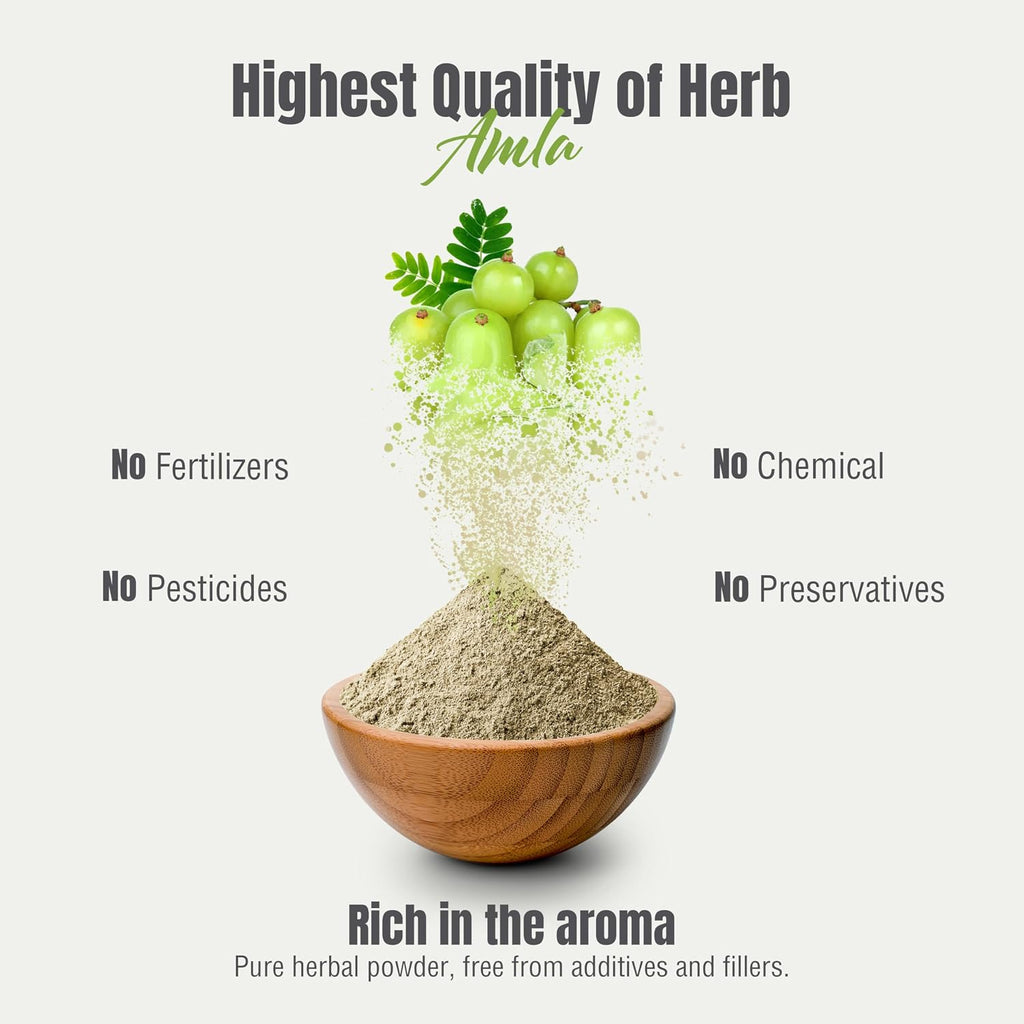 Herbsforever Polvo de Amla | Phyllanthus Emblica | Rico en Vitamina C y Antioxidantes | Vegano, Non-GMO | 230g