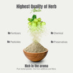 Herbsforever Polvo de Amla | Phyllanthus Emblica | Rico en Vitamina C y Antioxidantes | Vegano, Non-GMO | 230g