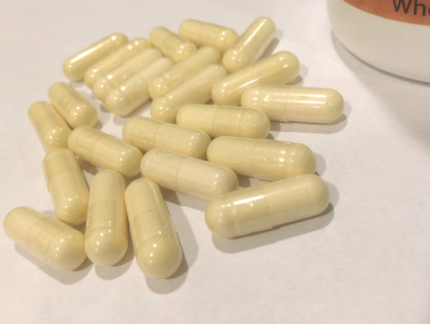 1 Suplemento Articular con Vitamina D3, Salvado de Arroz Integral Estabilizado - 120 Cápsulas, El Original