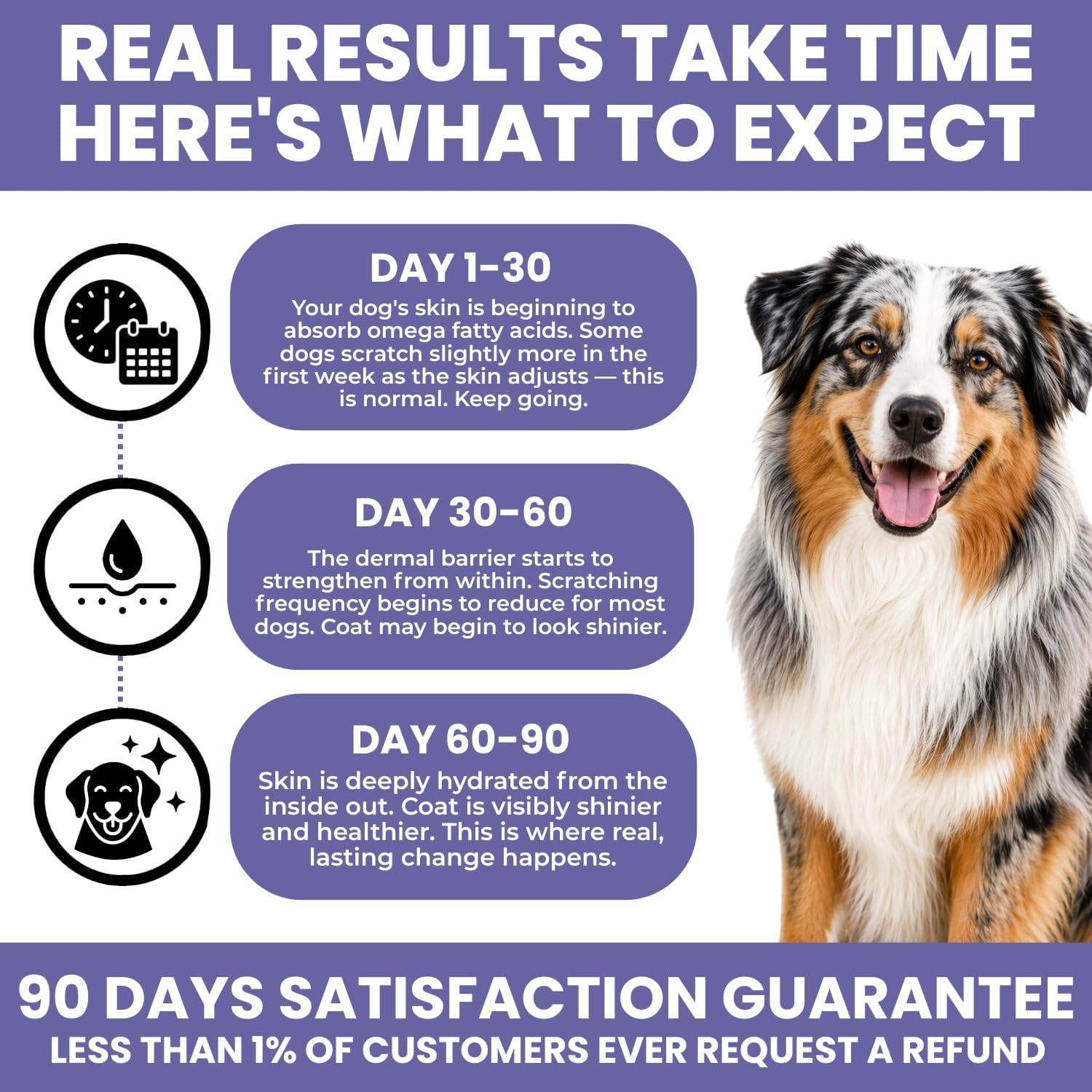 TRATEZ Suplemento para la Piel y Pelaje de Perros - Omega 3 6 9 Aceite de Pescado y Vitamina E Masticables Blandos - Alivio del Picor, Anti-Caída y Apoyo para Pelaje Brillante - 90 Unidades