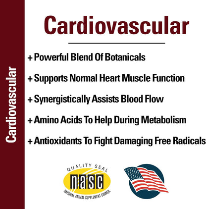 Vet Classics Cardiovascular Support Coenzyme – Dan Shen (Salvia miltiorrhiza): Una planta utilizada en la medicina – Image 4