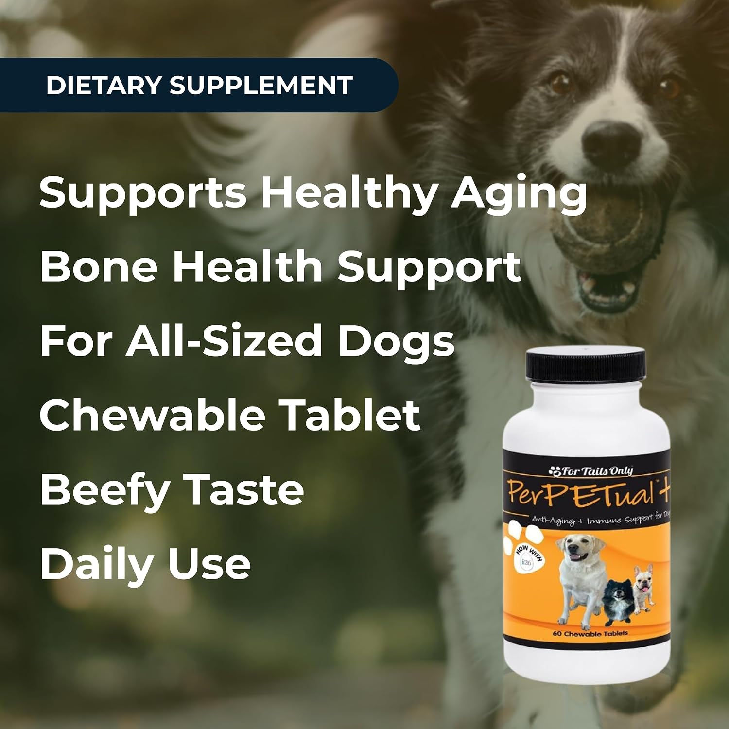 Youngevity Perpetual Plus Suplemento Antioxidante para Perros, 60 Masticables