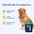 Honest Paws Probióticos para Perros - Polvo Digestivo con Prebióticos y Sabor a Calabaza (30 sticks)