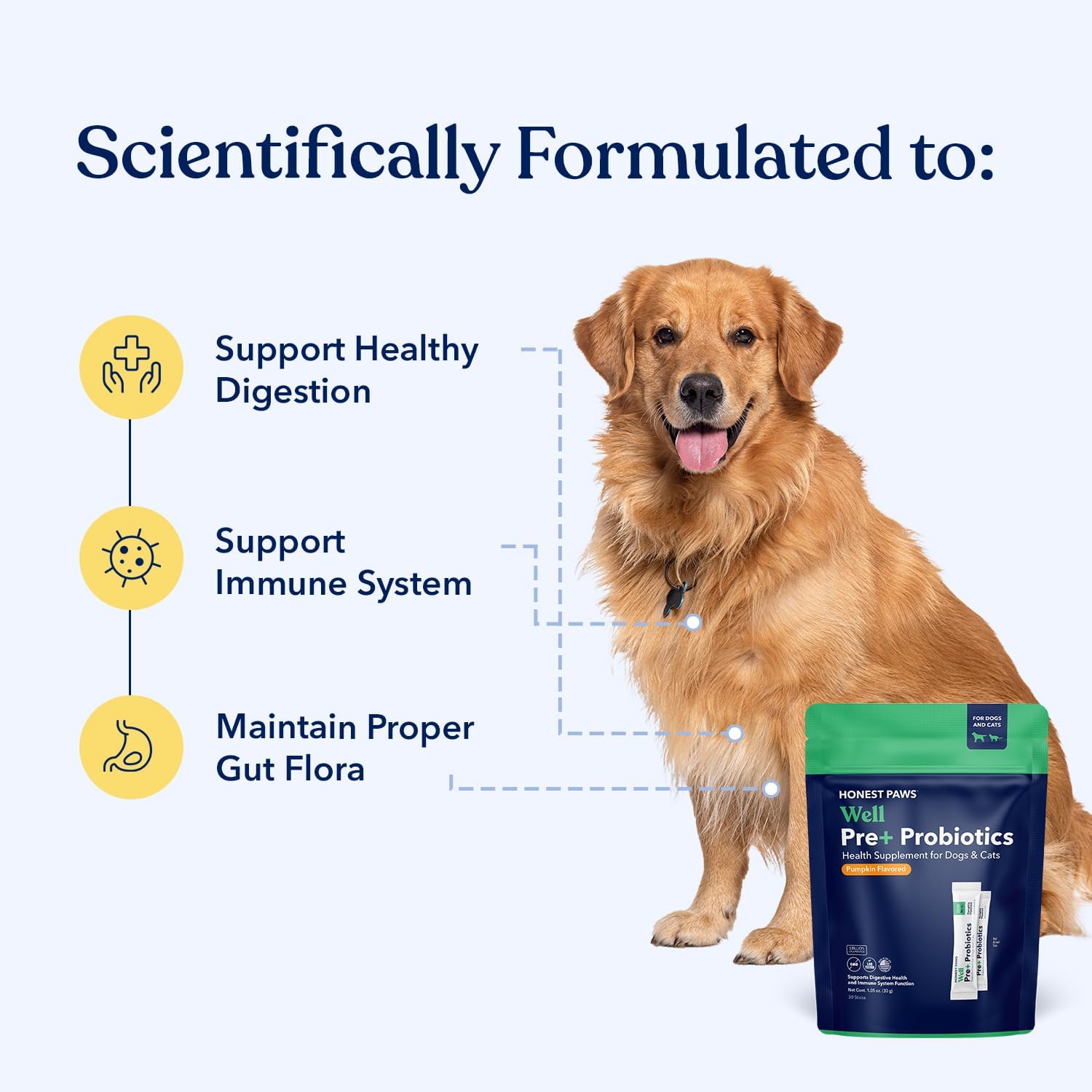Honest Paws Probióticos para Perros - Polvo Digestivo con Prebióticos y Sabor a Calabaza (30 sticks)