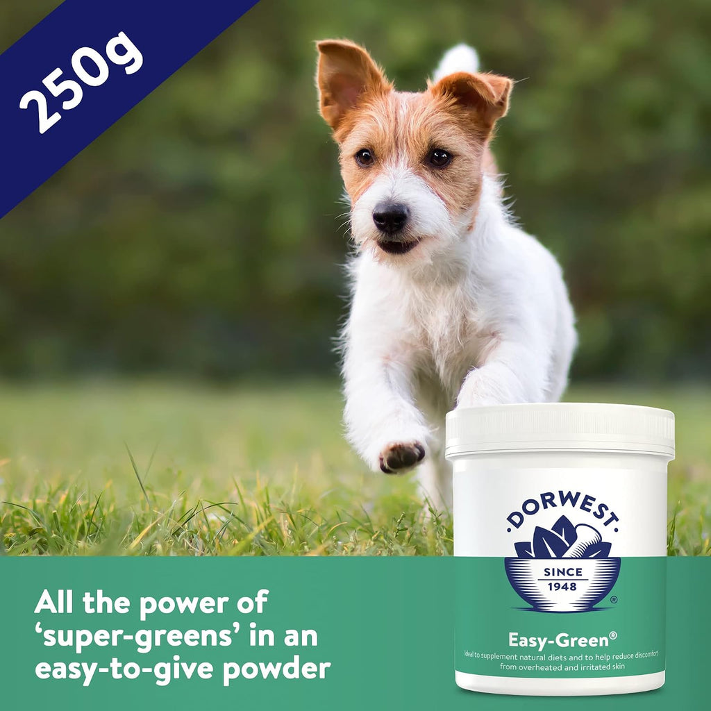 Green Powder Supplement - Suplemento Herbario para Perros y Gatos