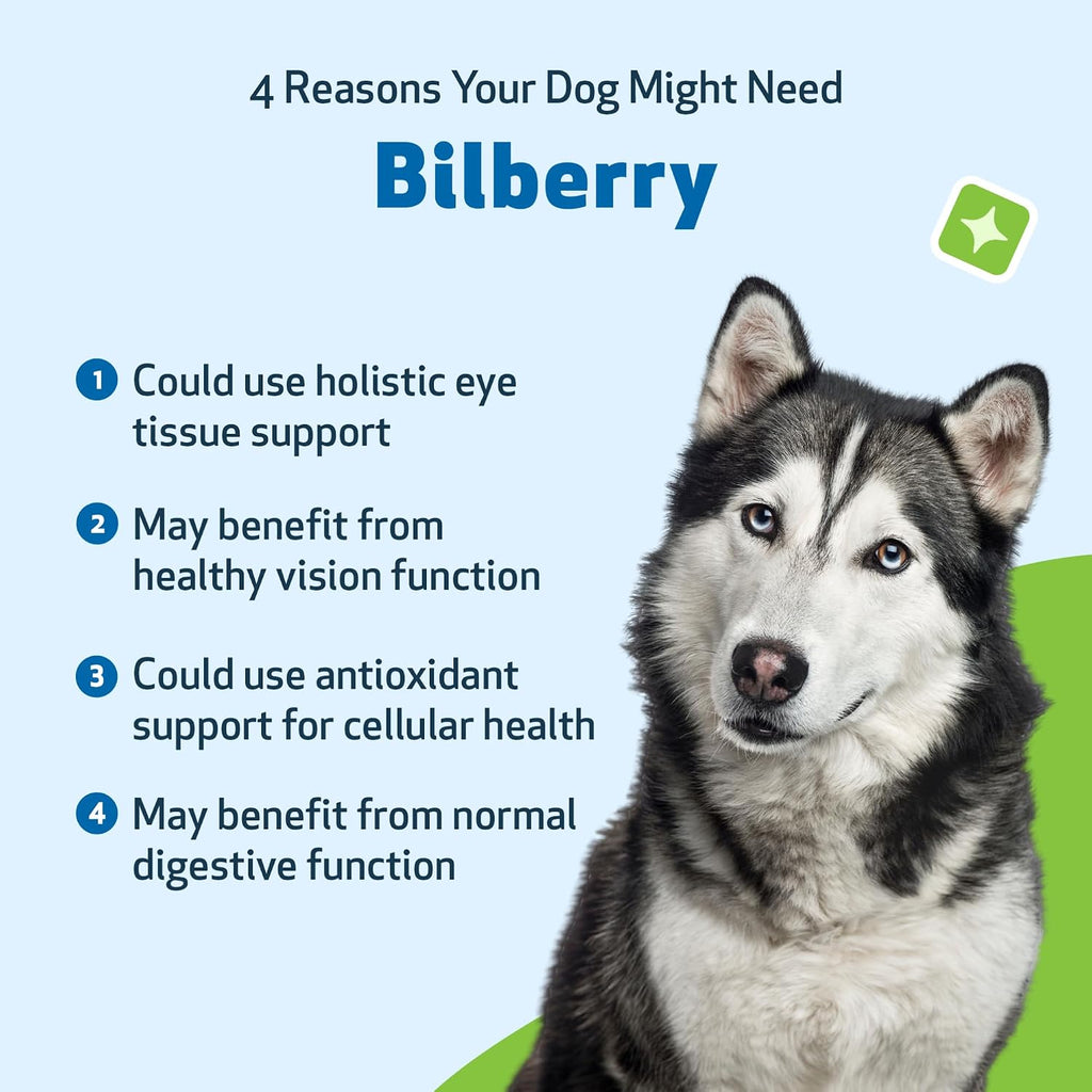 Pet Wellbeing Arándano (Bilberry) para Perros – 60 ml – Suplemento Líquido para la Visión y Salud Ocular