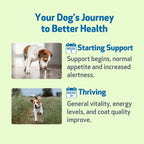 Pet Wellbeing Life Gold para Perros - Suplemento Herbal Natural - Apoyo Inmunológico y Antioxidante - 59 ml