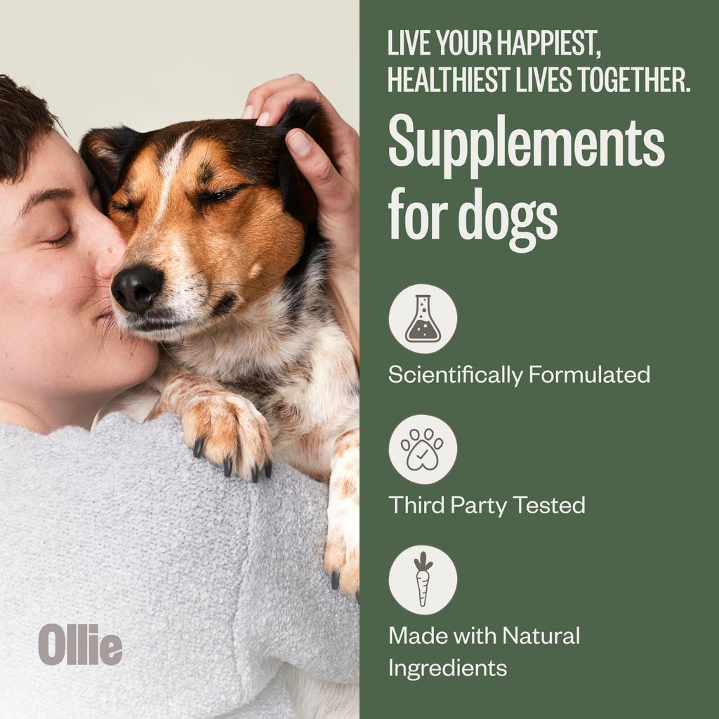 Ollie Belly Rubs - Probióticos para Perros - Salud Digestiva - Aprox. 60 Masticables