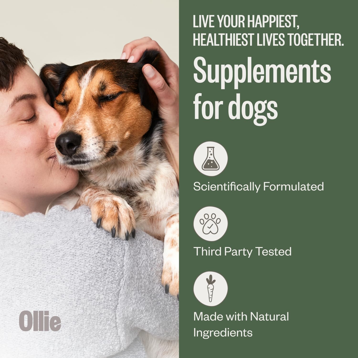 Ollie Belly Rubs - Probióticos para Perros - Salud Digestiva - Aprox. 60 Masticables