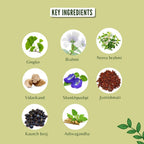 Ayurvedashree Medho Vatika 60 Comprimidos - Suplemento Herbal con 8 Hierbas Ayurvédicas