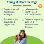 Pet Wellbeing Young at Heart for Dogs - Cardiovascular Support for Senior Dogs - 59 ml Liquid Formula