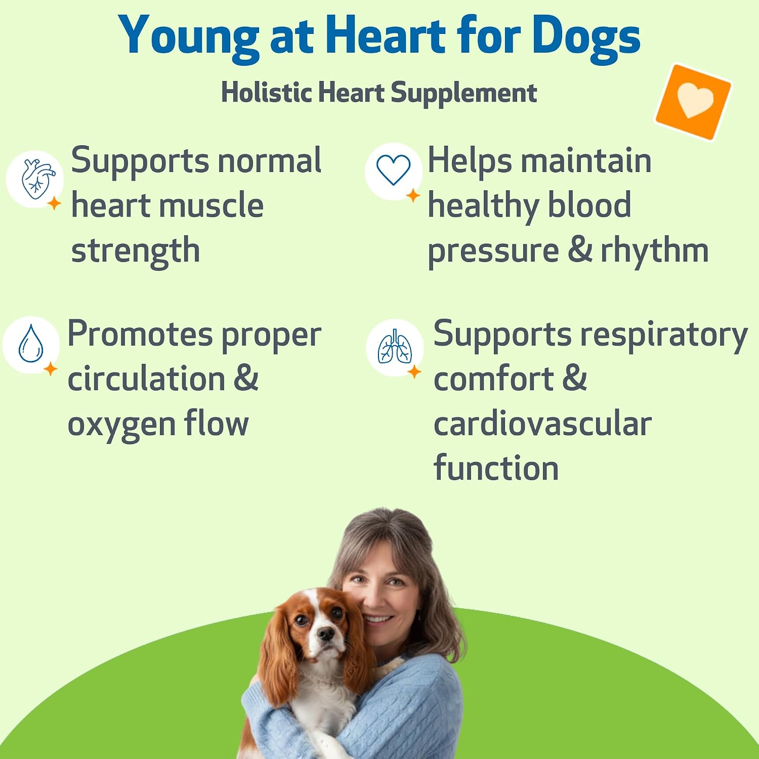 Pet Wellbeing Young at Heart for Dogs - Cardiovascular Support for Senior Dogs - 59 ml Liquid Formula