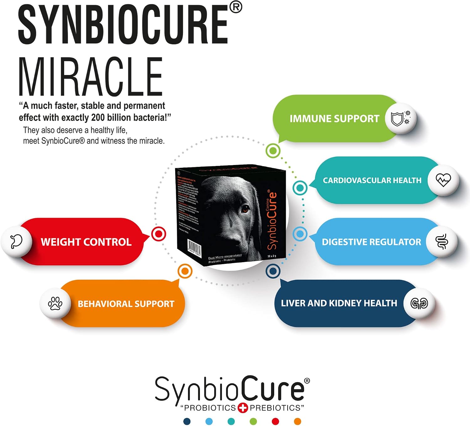 SynbioCure Probióticos y Prebióticos para Perros | Polvo | 200 Mil Millones de Bacterias por Sobre | 30 Sobres de 2 g
