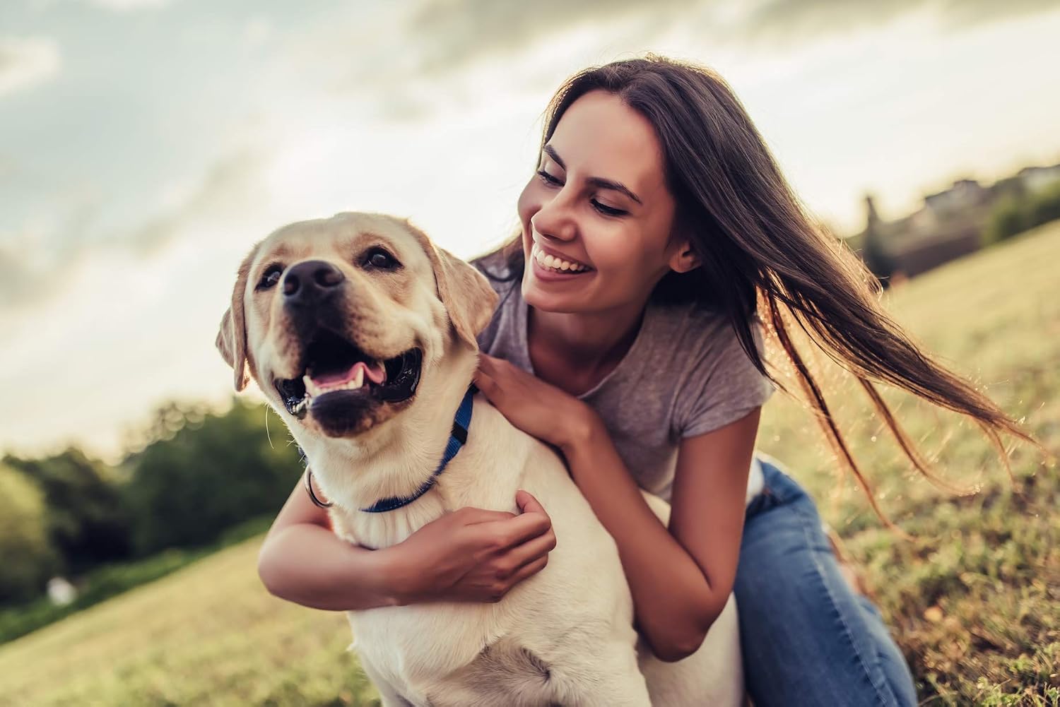 Apoyo al tracto urinario del perro - Solución natural de arándano rojo - Salud de la vejiga - Recomendado por veterinarios - Suplemento de seda de maíz para perros - 2 frascos (180 golosinas)