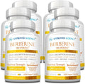 Approved Science Berberina 1000mg - Alta Absorción con BioPerine - 360 Cápsulas - 6 Meses - Vegano