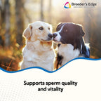 Breeder's Edge Problem Male Powder para Perros y Gatos, 225 g