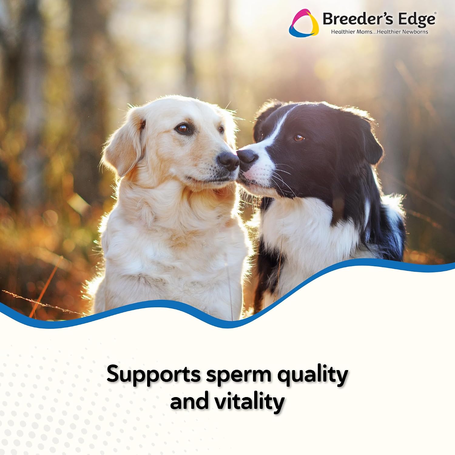 Breeder's Edge Problem Male Powder para Perros y Gatos, 225 g