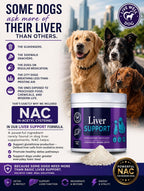 Live Well Dog Liver Support – Detox & Immunity Booster para Perros y Gatos | Cardo Mariano, NAC, Diente de León | 180 g