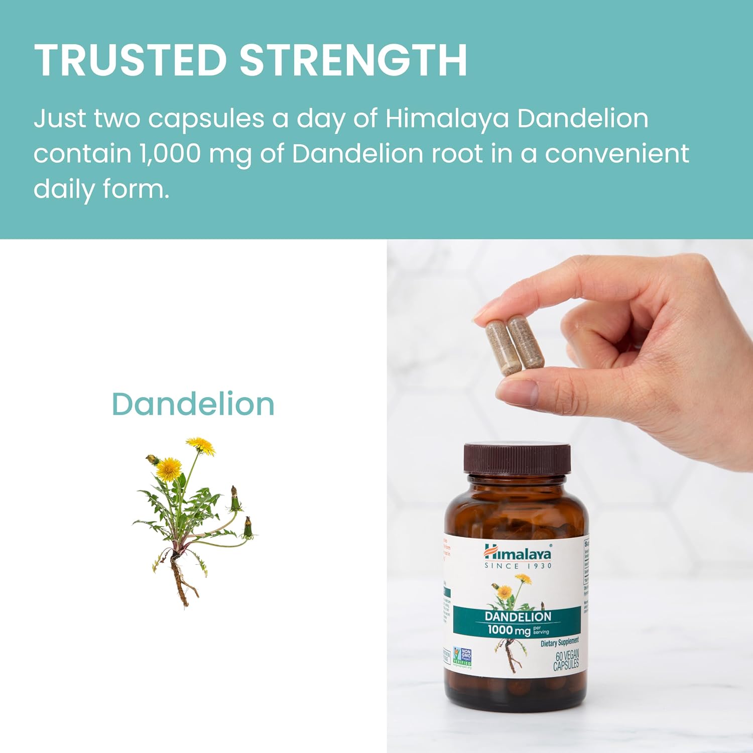 Himalaya Diente de León - Suplemento de Raíz de Diente de León para el Bienestar Diario - Vegano, Sin Gluten, 1000 mg, 60 Cápsulas