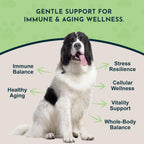Animal Essentials Longevity Suplemento de Hongo Reishi para Perros y Gatos - Extracto en Polvo, Salud Cardiovascular y Hepática, Antioxidante - 50g