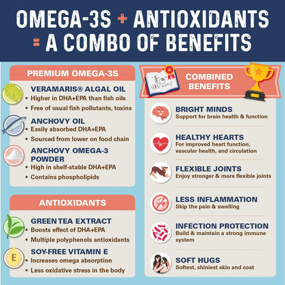 Bernie's OMG! Omegas Masticables para Perros – Sistema inmunológico: Una ingesta adecuada de omega-3 puede ayudar – Image 4