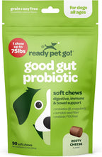 Masticables probióticos para perros con calabaza y enzimas digestivas | 90 unidades