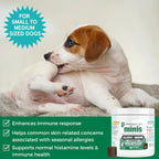 Progility Mini Allergy & Immune Supplement para Perros Pequeños y Medianos – Apoyo Inmunológico Avanzado y Alergias Estacionales, Snacks Blandos (60 unidades)
