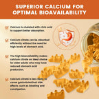 GONGOTA Gominolas de Citrato de Calcio 1200 mg con Vitamina D3 - Apoyo para Huesos, Músculos y Articulaciones - Sin Azúcar, Sabor Piña - 120 Gominolas
